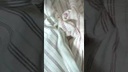 Cotton Slub Stripe Design 5