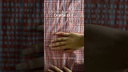Cotton Sheer Sucker CY-170615 Orange Lilac