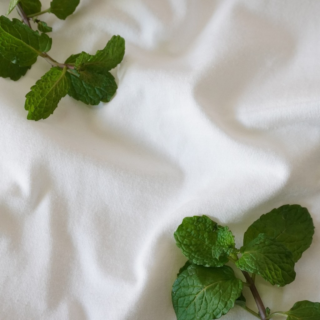 Mint Stretch [CMINT]