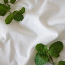 Mint Stretch [CMINT]