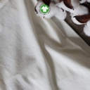 Cotton Organic 40'S Spandex RFD