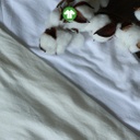 [CTORGA40] Cotton Organic 40's knit