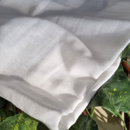 [CO 80720] Cotton Double Gauze Organic RFD [CO 80720]